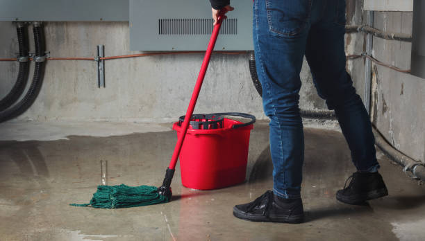 Carpet water damage restoration